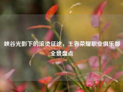 峡谷光影下的滚烫征途，王者荣耀职业俱乐部全景盘点