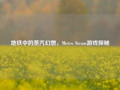 地铁中的蒸汽幻想，Metro Steam游戏探秘