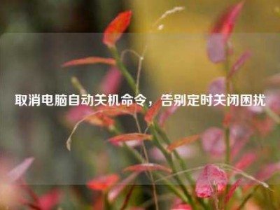 取消电脑自动关机命令，告别定时关闭困扰