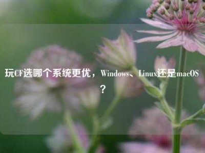 玩CF选哪个系统更优，Windows、Linux还是macOS ？