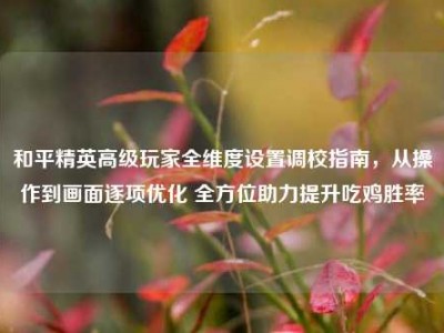 和平精英高级玩家全维度设置调校指南，从操作到画面逐项优化 全方位助力提升吃鸡胜率