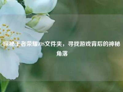 探秘王者荣耀iOS文件夹，寻找游戏背后的神秘角落