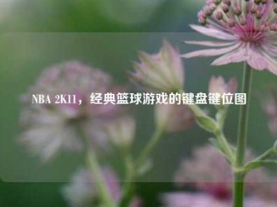 NBA 2K11，经典篮球游戏的键盘键位图