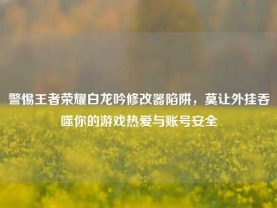 警惕王者荣耀白龙吟修改器陷阱，莫让外挂吞噬你的游戏热爱与账号安全