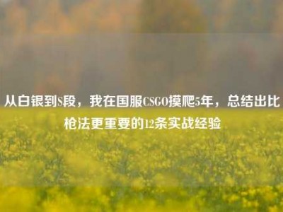从白银到S段，我在国服CSGO摸爬5年，总结出比枪法更重要的12条实战经验