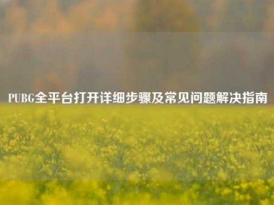 PUBG全平台打开详细步骤及常见问题解决指南