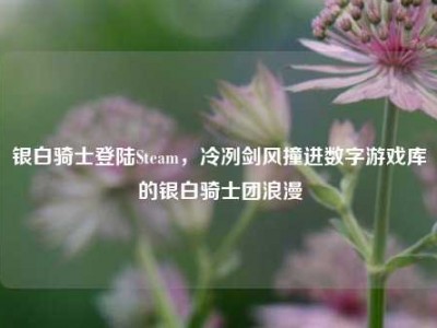 银白骑士登陆Steam，冷冽剑风撞进数字游戏库的银白骑士团浪漫
