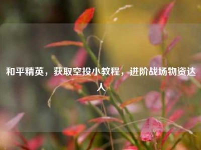 和平精英，获取空投小教程，进阶战场物资达人