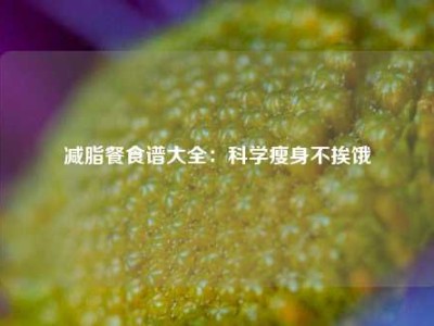 减脂餐食谱大全：科学瘦身不挨饿