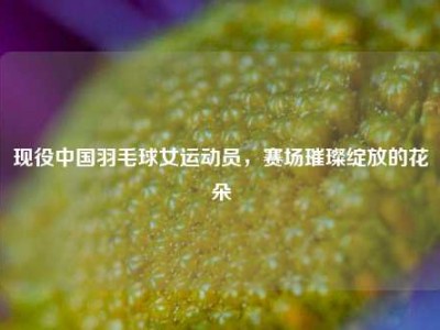 现役中国羽毛球女运动员，赛场璀璨绽放的花朵