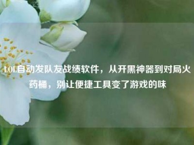 LOL自动发队友战绩软件，从开黑神器到对局火药桶，别让便捷工具变了游戏的味
