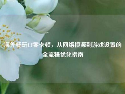 海外畅玩CF零卡顿，从网络根源到游戏设置的全流程优化指南