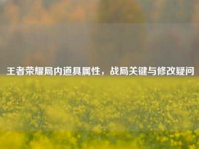 王者荣耀局内道具属性，战局关键与修改疑问