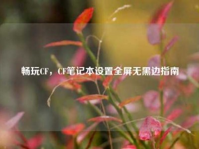 畅玩CF，CF笔记本设置全屏无黑边指南