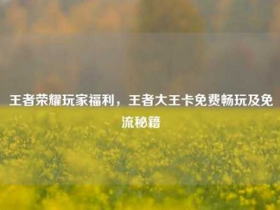 王者荣耀玩家福利，王者大王卡免费畅玩及免流秘籍