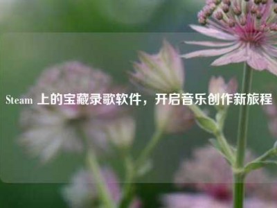 Steam 上的宝藏录歌软件，开启音乐创作新旅程