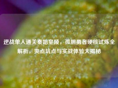 逆战单人通关秦始皇陵，孤胆勇者硬核试炼全解析，爽点坑点与实战体验大揭秘