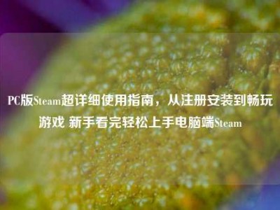 PC版Steam超详细使用指南，从注册安装到畅玩游戏 新手看完轻松上手电脑端Steam