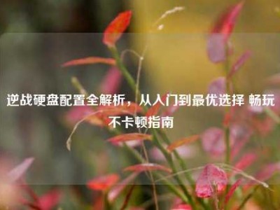 逆战硬盘配置全解析，从入门到最优选择 畅玩不卡顿指南