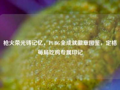 枪火荣光铸记忆，PUBG全成就徽章图鉴，定格每局吃鸡专属印记