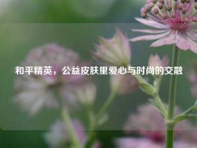 和平精英，公益皮肤里爱心与时尚的交融