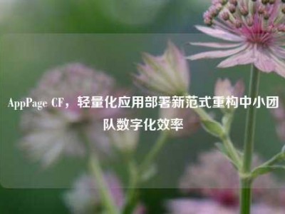 AppPage CF，轻量化应用部署新范式重构中小团队数字化效率