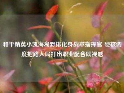和平精英小凯海岛野排化身战术指挥官 硬核调度把路人局打出职业配合既视感