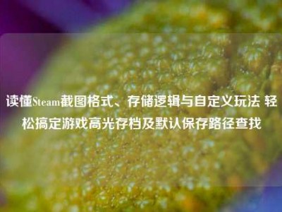 读懂Steam截图格式、存储逻辑与自定义玩法 轻松搞定游戏高光存档及默认保存路径查找