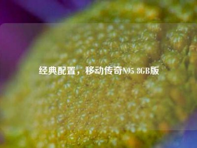 经典配置，移动传奇N95 8GB版