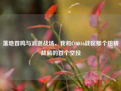 落地首鸣与消逝战场，我和COD16战区那个扭转战局的首个空投