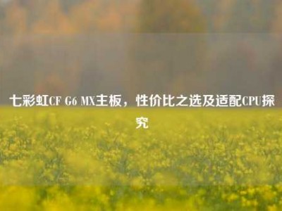 七彩虹CF G6 MX主板，性价比之选及适配CPU探究