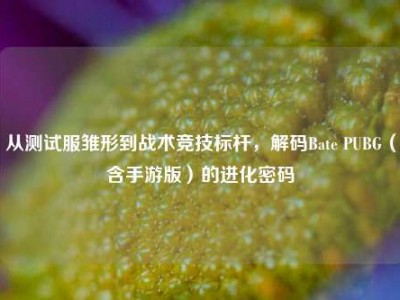 从测试服雏形到战术竞技标杆，解码Bate PUBG（含手游版）的进化密码