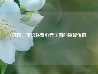 韩国，英雄联盟电竞王国的璀璨传奇