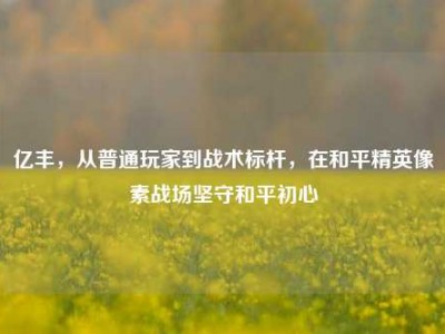亿丰，从普通玩家到战术标杆，在和平精英像素战场坚守和平初心