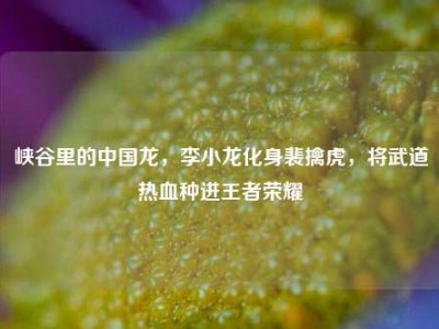 峡谷里的中国龙，李小龙化身裴擒虎，将武道热血种进王者荣耀