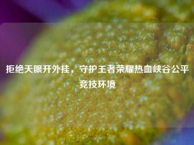 拒绝天眼开外挂，守护王者荣耀热血峡谷公平竞技环境
