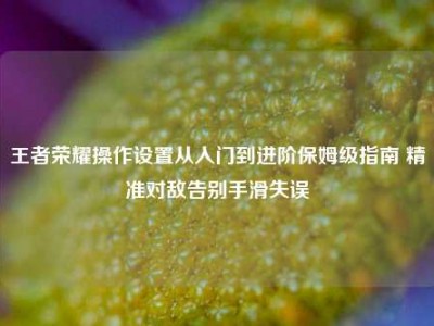 王者荣耀操作设置从入门到进阶保姆级指南 精准对敌告别手滑失误
