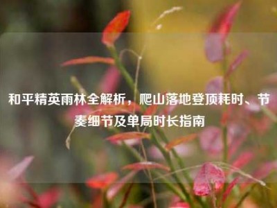 和平精英雨林全解析，爬山落地登顶耗时、节奏细节及单局时长指南