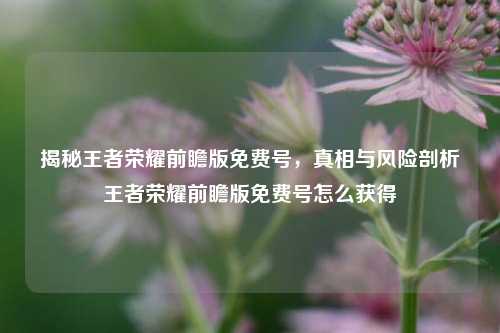 揭秘王者荣耀前瞻版免费号，真相与风险剖析王者荣耀前瞻版免费号怎么获得