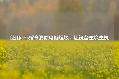 使用temp指令清除电脑垃圾，让设备重焕生机
