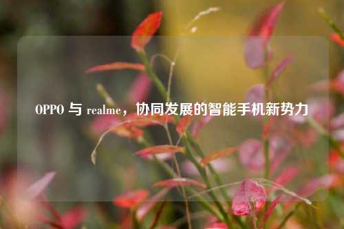 OPPO 与 realme，协同发展的智能手机新势力