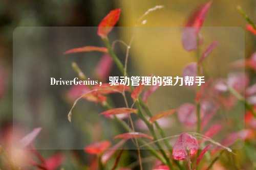 DriverGenius，驱动管理的强力帮手