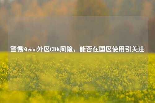 警惕Steam外区CDK风险，能否在国区使用引关注
