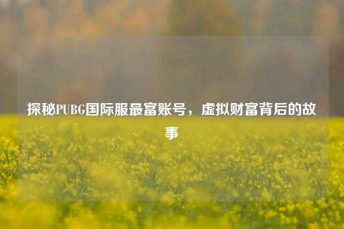 探秘PUBG国际服最富账号，虚拟财富背后的故事