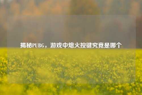 揭秘PUBG，游戏中熄火按键究竟是哪个