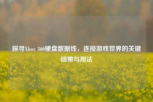 探寻Xbox 360硬盘数据线，连接游戏世界的关键纽带与用法