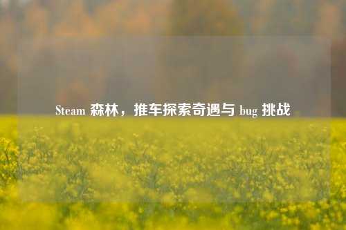 Steam 森林，推车探索奇遇与 bug 挑战