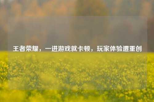 王者荣耀，一进游戏就卡顿，玩家体验遭重创