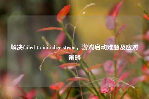 解决failed to initialize steam，游戏启动难题及应对策略