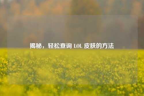 揭秘，轻松查询 LOL 皮肤的方法